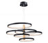 ET2 Hoopla Multi Light Pendant Model: E24327-BKGLD