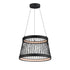 ET2 Loom Single Pendant in Black Finish Model: E20982-BK