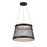 ET2 Loom Single Pendant in Black Finish Model: E20982-BK