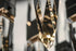 ET2 Quartz Multi Light Pendant in Polished Chrome Finish Model: E31246-20PC