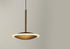 ET2 Saucer Mini Pendant Model: E21541-90BKGLD