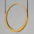 ET2 Tether Single Pendant Model: E24081-NAB
