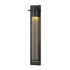Hubbardton Forge Airis Large Dark Sky Friendly Outdoor Sconce in Coastal Dark Smoke Finish Model: 307930-SKT-77-II0241