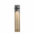 Hubbardton Forge Airis Medium Dark Sky Friendly Outdoor Sconce in Coastal Oil Rubbed Bronze Finish Model: 307920-SKT-14-II0211