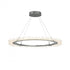 Hubbardton Forge Anemone Circular LED Pendant in Bronze Finish Model: 139772-LED-STND-05