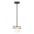 Hubbardton Forge Arc Ellipse Mini Pendant in Bronze Finish Model: 188200-SKT-MULT-05-GG0182