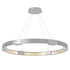 Hubbardton Forge Aura Large LED Pendant Model: 138589-SKT-STND-05-ZM0394