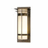 Hubbardton Forge Banded with Top Plate Extra Large Outdoor Sconce in Coastal Oil Rubbed Bronze Finish Model: 305995-SKT-14-GG0240