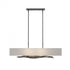Hubbardton Forge Brindille Pendant Model: 137660-SKT-STND-20-SJ4298