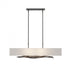 Hubbardton Forge Brindille Pendant Model: 137660-SKT-STND-20-SJ4298