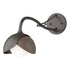 Hubbardton Forge Brooklyn 1 Light Double Shade Long Arm Sconce in Bronze Finish Model: 201377-SKT-05-02-GG0711
