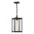 Hubbardton Forge Cela Large Outdoor Lantern in Coastal Oil Rubbed Bronze Finish Model: 362023-SKT-14-GG0731