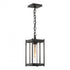 Hubbardton Forge Cela Medium Outdoor Lantern in Coastal Oil Rubbed Bronze Finish Model: 362021-SKT-14-GG0730