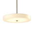 Hubbardton Forge Disq Large LED Pendant Model: 139713-LED-MULT-89-SH1970
