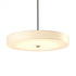 Hubbardton Forge Disq Large LED Pendant Model: 139713-LED-MULT-89-SH1970