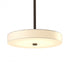 Hubbardton Forge Disq LED Pendant Model: 139710-LED-MULT-84-SH1971