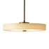 Hubbardton Forge Disq LED Pendant Model: 139710-LED-MULT-84-SH1971