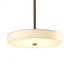 Hubbardton Forge Disq LED Pendant Model: 139710-LED-MULT-84-SH1971