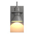 Hubbardton Forge Erlenmeyer Dark Sky Friendly Outdoor Sconce in Coastal Oil Rubbed Bronze Finish Model: 307716-SKT-14-14