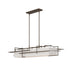 Hubbardton Forge Etch Pendant Model: 136390-SKT-STND-07-SF4298