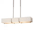 Hubbardton Forge Exos Rectangular Pendant Model: 139640-SKT-LONG-07-SF4207-SF4602