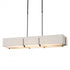 Hubbardton Forge Exos Rectangular Pendant Model: 139640-SKT-LONG-10-SF4207-SA4602