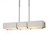 Hubbardton Forge Exos Rectangular Pendant Model: 139640-SKT-LONG-10-SF4207-SA4602