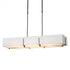 Hubbardton Forge Exos Rectangular Pendant Model: 139640-SKT-LONG-10-SF4207-SA4602