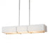 Hubbardton Forge Exos Rectangular Pendant Model: 139640-SKT-LONG-85-SF4207-SE4602