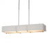 Hubbardton Forge Exos Rectangular Pendant Model: 139640-SKT-LONG-85-SF4207-SE4602