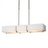 Hubbardton Forge Exos Rectangular Pendant Model: 139640-SKT-SHRT-07-SF4207-SA4602