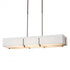 Hubbardton Forge Exos Rectangular Pendant Model: 139640-SKT-SHRT-07-SF4207-SF4602