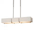 Hubbardton Forge Exos Rectangular Pendant Model: 139640-SKT-SHRT-07-SF4207-SF4602