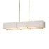 Hubbardton Forge Exos Rectangular Pendant Model: 139640-SKT-SHRT-85-SF4207-SE4602