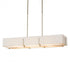 Hubbardton Forge Exos Rectangular Pendant Model: 139640-SKT-SHRT-85-SF4207-SE4602