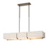 Hubbardton Forge Exos Rectangular Pendant Model: 139640-SKT-STND-05-SF4207-SF4602