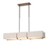 Hubbardton Forge Exos Rectangular Pendant Model: 139640-SKT-STND-07-SF4207-SF4602