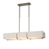 Hubbardton Forge Exos Rectangular Pendant Model: 139640-SKT-STND-07-SF4207-SF4602