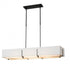 Hubbardton Forge Exos Rectangular Pendant Model: 139640-SKT-STND-10-SF4207-SA4602