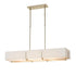 Hubbardton Forge Exos Rectangular Pendant Model: 139640-SKT-STND-85-SF4207-SE4602