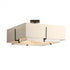Hubbardton Forge Exos Square Large Double Shade Semi Flush Model: 126513-SKT-14-SF2012-SE2401