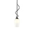 Hubbardton Forge Flora Down Light Mini Pendant in Bronze Finish Model: 183030-SKT-MULT-05-GG0303