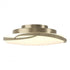 Hubbardton Forge Flora LED Flush Mount Model: 126742-LED-82-GG0437