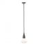 Hubbardton Forge Fritz Large Pendant in Bronze Finish Model: 188902-SKT-MULT-05-ZM0676