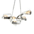 Hubbardton Forge Graffiti Pendant Model: 137820-SKT-STND-14-ZM0549