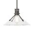 Hubbardton Forge Henry Medium Glass Shade Pendant Model: 134553-SKT-MULT-86-FD0686