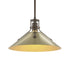 Hubbardton Forge Henry Medium Steel Shade Pendant Model: 134550-SKT-MULT-82-85