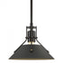 Hubbardton Forge Henry Mini Pendant in Bronze Finish Model: 184250-SKT-MULT-05-02