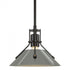 Hubbardton Forge Henry Mini Pendant in Bronze Finish Model: 184250-SKT-MULT-05-02