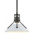 Hubbardton Forge Henry Mini Pendant in Bronze Finish Model: 184250-SKT-MULT-05-02